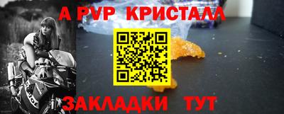 прущие грибы Можга