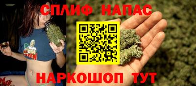 прущие грибы Можга