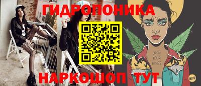 прущие грибы Можга