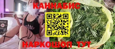 прущие грибы Можга