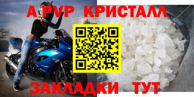 прущие грибы Можга