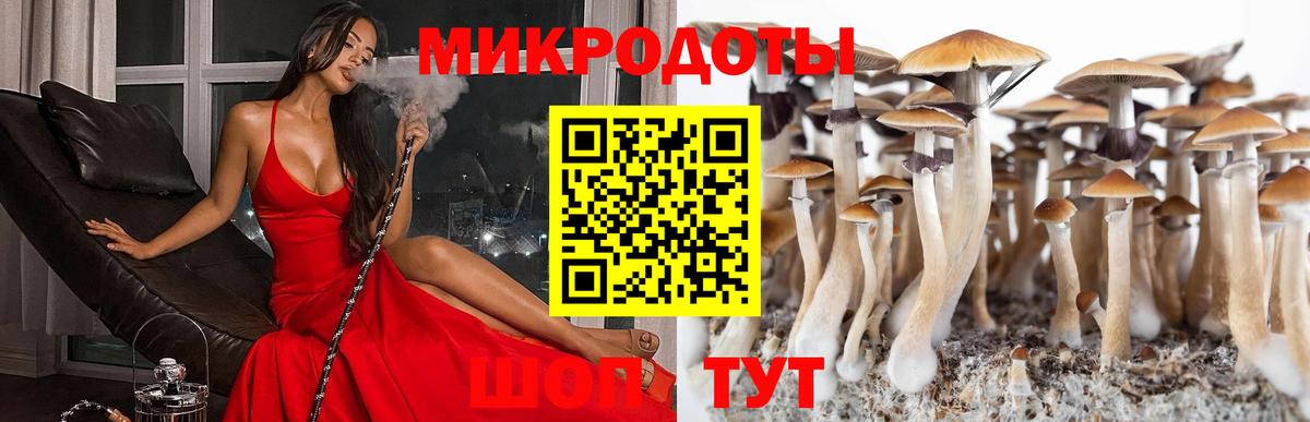 Великий Новгород  Галлюциногенные грибы мицелий  Вход с VPN  Галлюциногенные грибы Psilocybine cubensis 