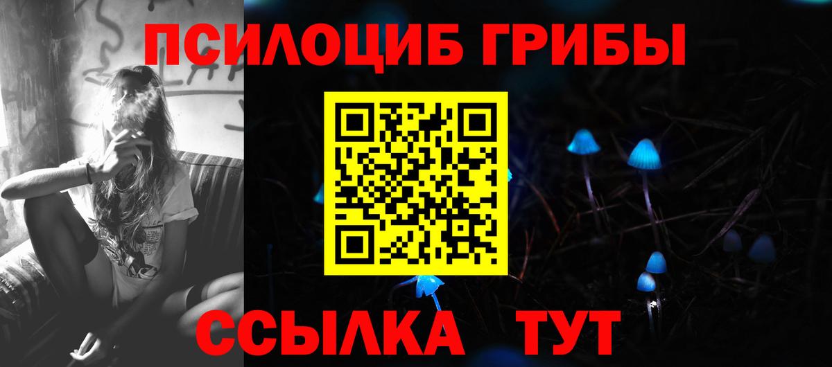 Псилоцибиновые грибы мухоморы Великий Новгород